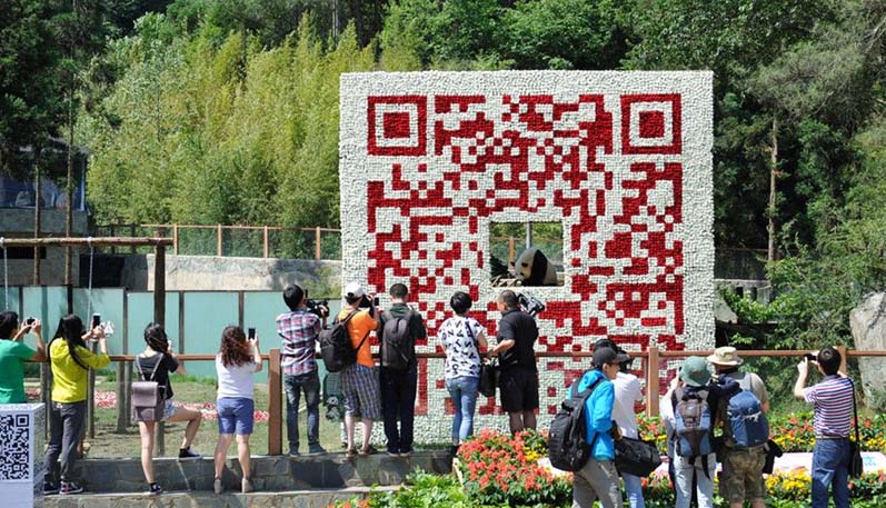 Panda posa en un gigantesco código QR