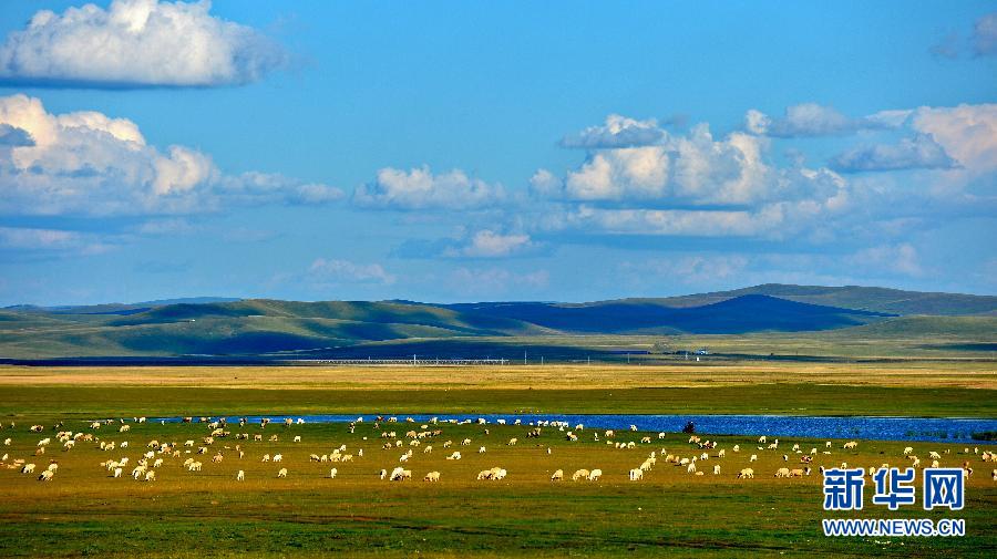 Paisaje hermoso de China en las praderas de Hulun Buir 