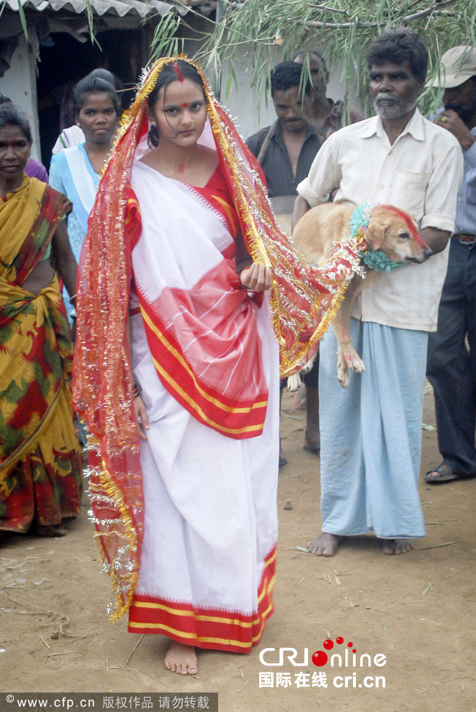 Ni?a india se casa con un perro callejero para evitar una maldición