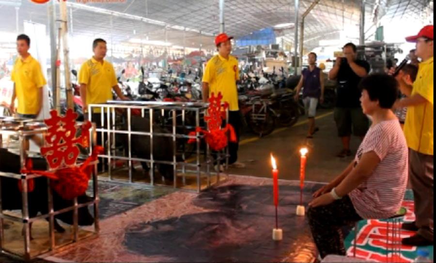 Una tocinería de Guangxi casó una pareja de cerdos