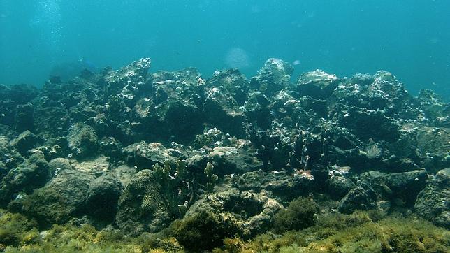 Expertos desmienten que los restos hallados en Haití sean de la Santa María