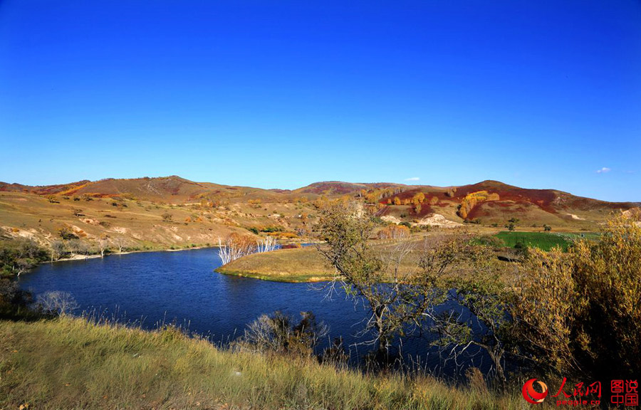 Gentil oto?o en Hongshan 