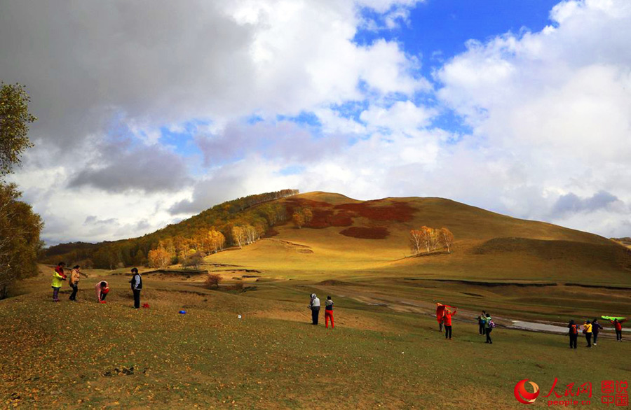 Gentil oto?o en Hongshan 