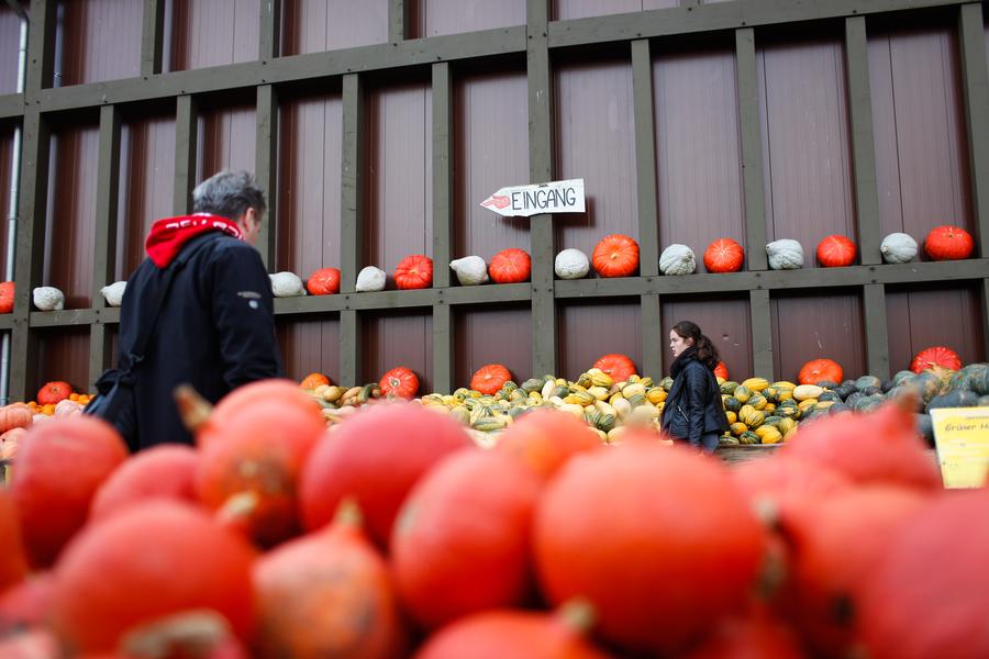 Exhibición anual de calabazas en Alemania