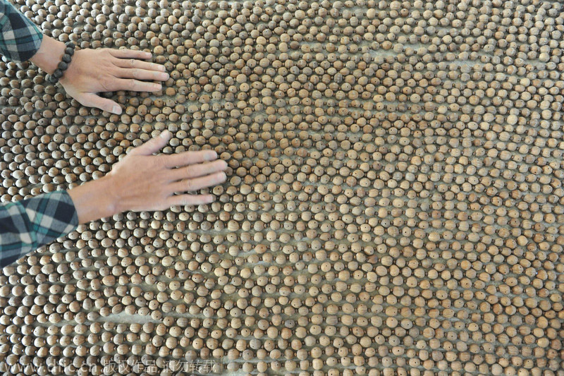 En las nueces, hasta las cáscaras sirven para algo