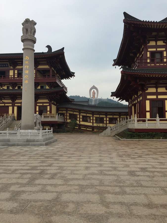 Periodistas extranjeros visitan el Templo Donglin con la estatua de Buda más grande del mundo 2