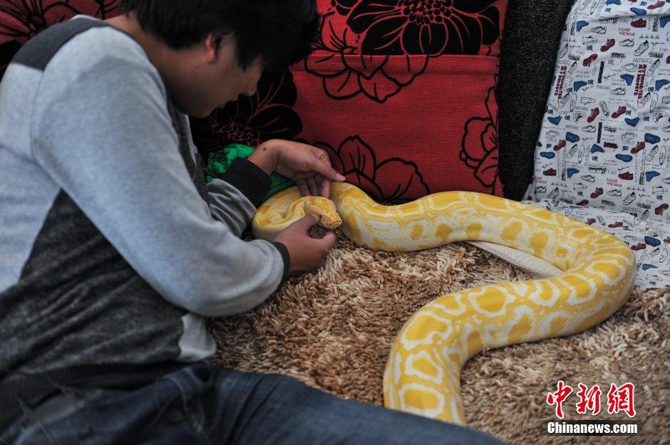 Jóven vive con serpientes durante 10 a?os