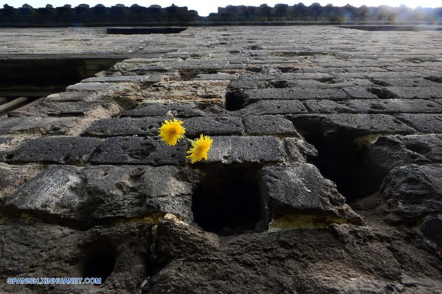 Imágenes del a?o 2014 de Agencia de Noticias Xinhua