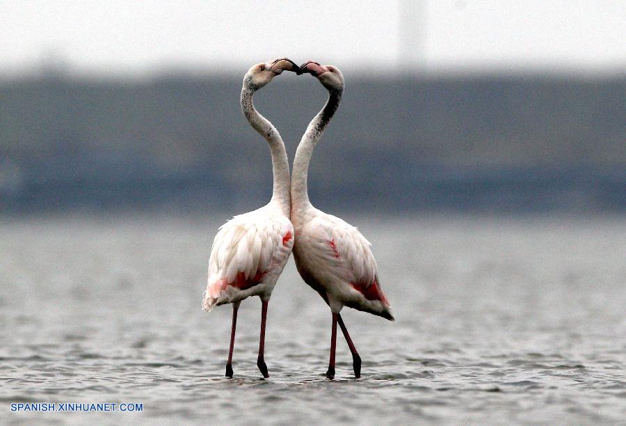 Imágenes del a?o 2014 de Agencia de Noticias Xinhua