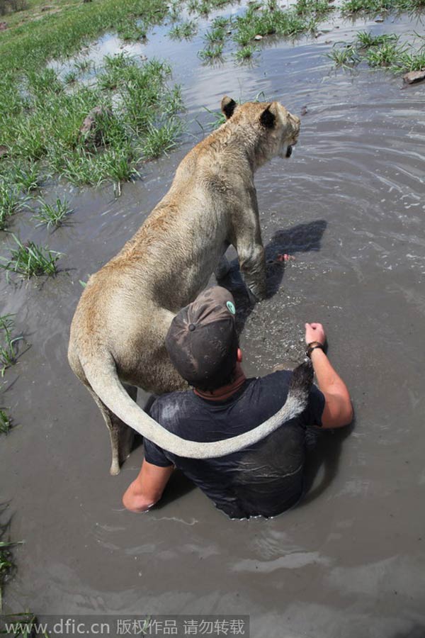 Gracias, mi amigo humano