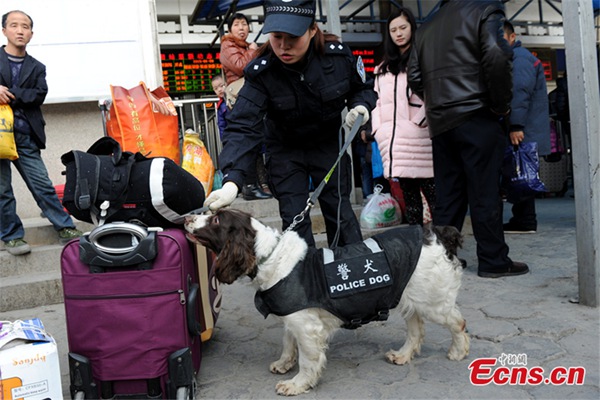 Perros policía se preparan para el éxodo de a?o nuevo chino