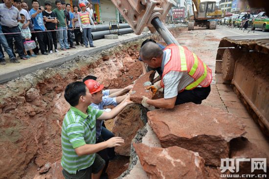 Encuentran 43 huevos de dinosaurio en el sur de China