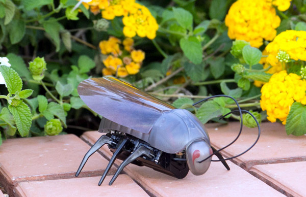 Los 9 dispositivos para usar con smartphones más populares