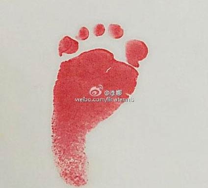 Tenista Li Na da a luz a una bebé