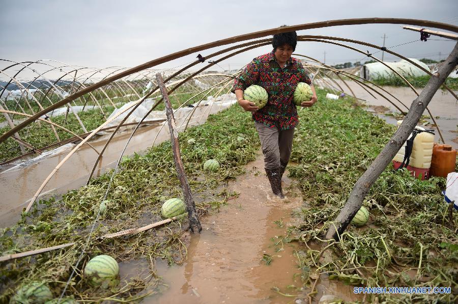 Tifón Chan-Hom se debilita y deja región costera de China