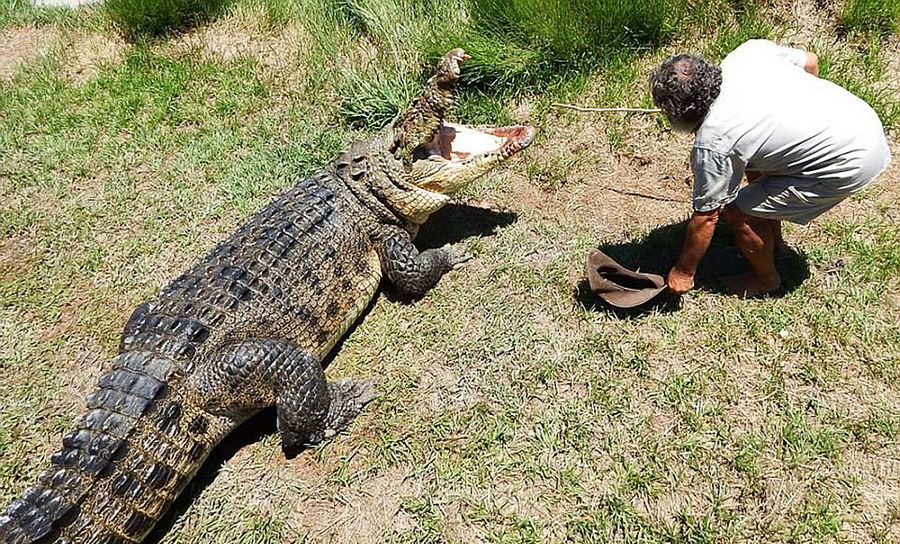Robert Bredl, el jinete de cocodrilos y encantador de reptiles