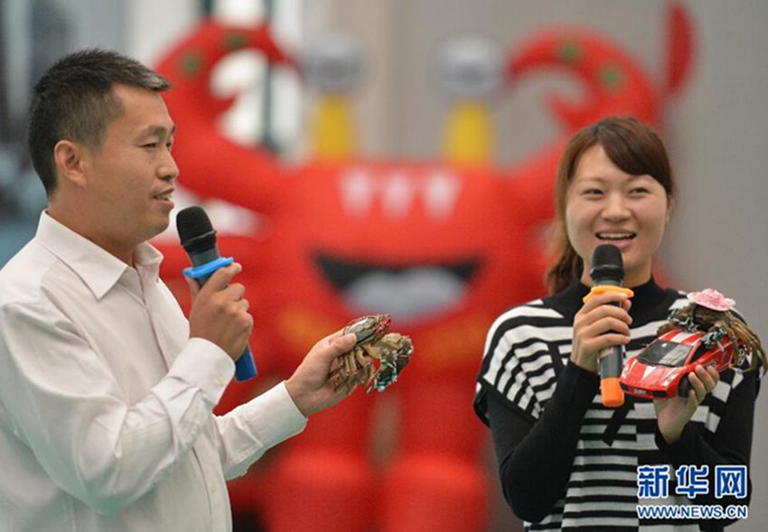 Concurso de cangrejos “modelos”  9