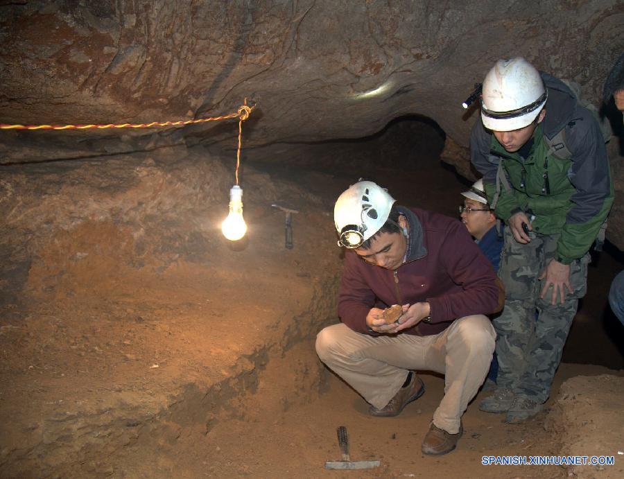 Fósiles de dientes cubren lagunas sobre evolución humana