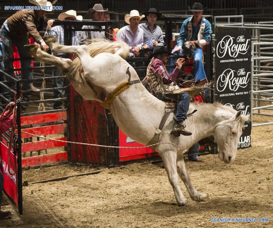 Competición Real de Caballo 2015 en Toronto, Canadá