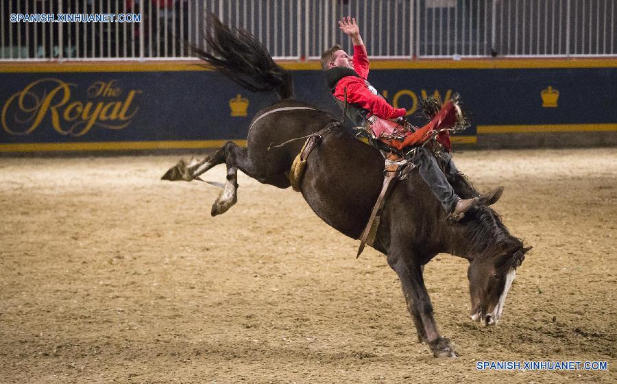 Competición Real de Caballo 2015 en Toronto, Canadá