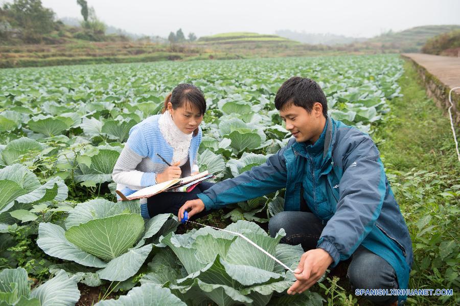 Aldeanos chinos ya compran y ventan en línea