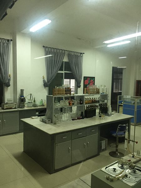 Periodistas extranjeros visitan el centro de frutas silvestres Gentleman Valley de Chongyi