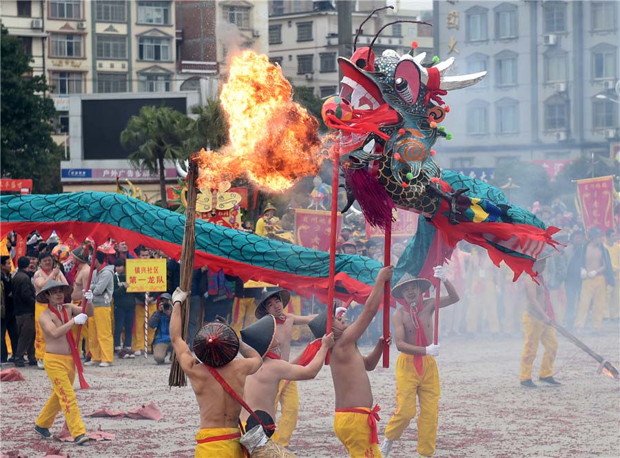 Artistas locales realizan la danza del dragón con petardos en el condado Binyang, región autónoma Zhuang de Guangxi, el 16 de febrero de 2016. [Foto/Xinhua]