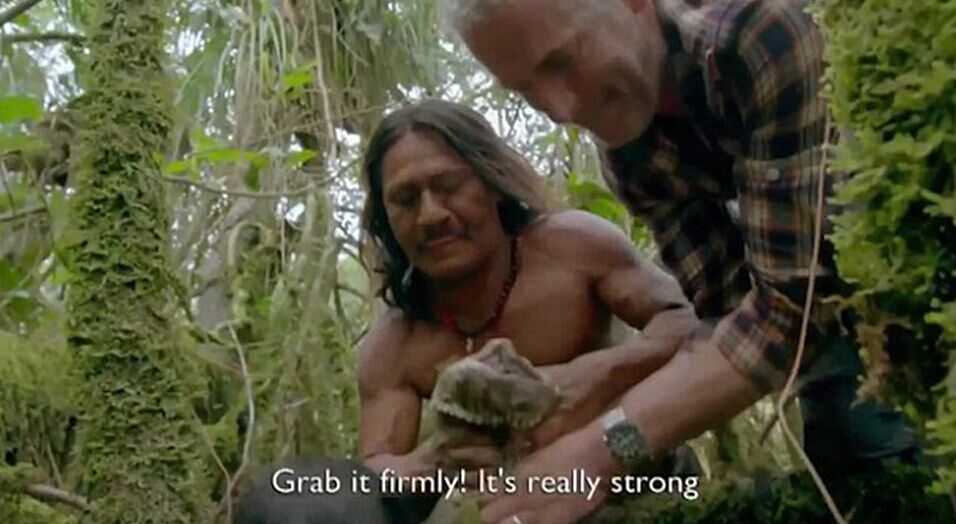 Anaconda de 5.1 metros encontrado en Amazonia