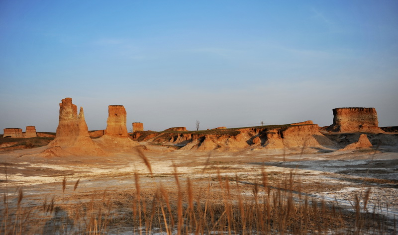 Maravilloso paisaje del bosque de la tierra en Datong