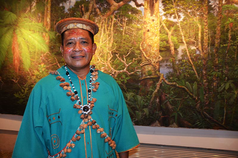 Paisajes naturalistas de Ramón Piaguaje, maestro ecuatoriano que vive en la Amazonía. (Foto: YAC)