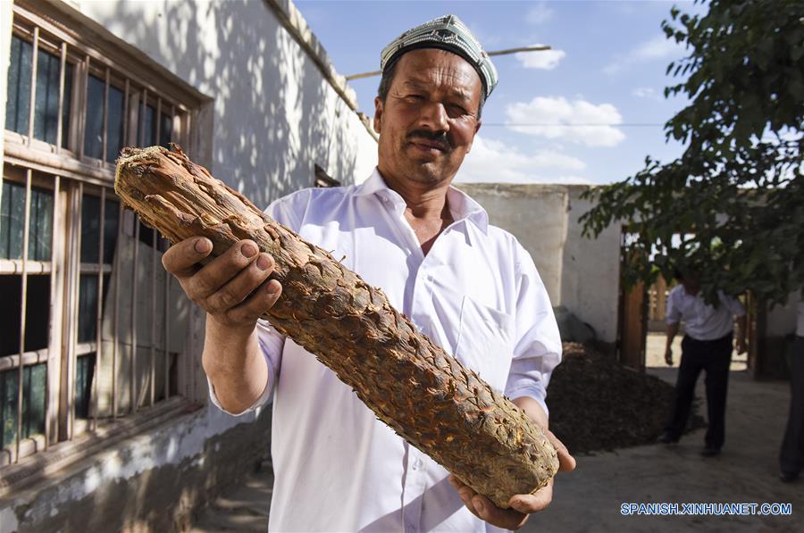 El camino de enriquecimiento de un pueblo uygur de Xinjiang