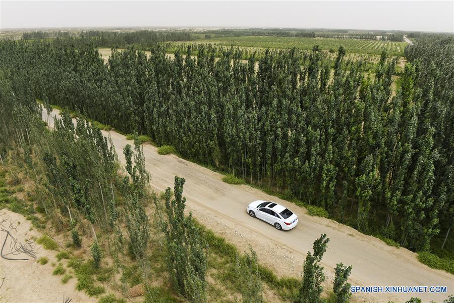 El camino de enriquecimiento de un pueblo uygur de Xinjiang