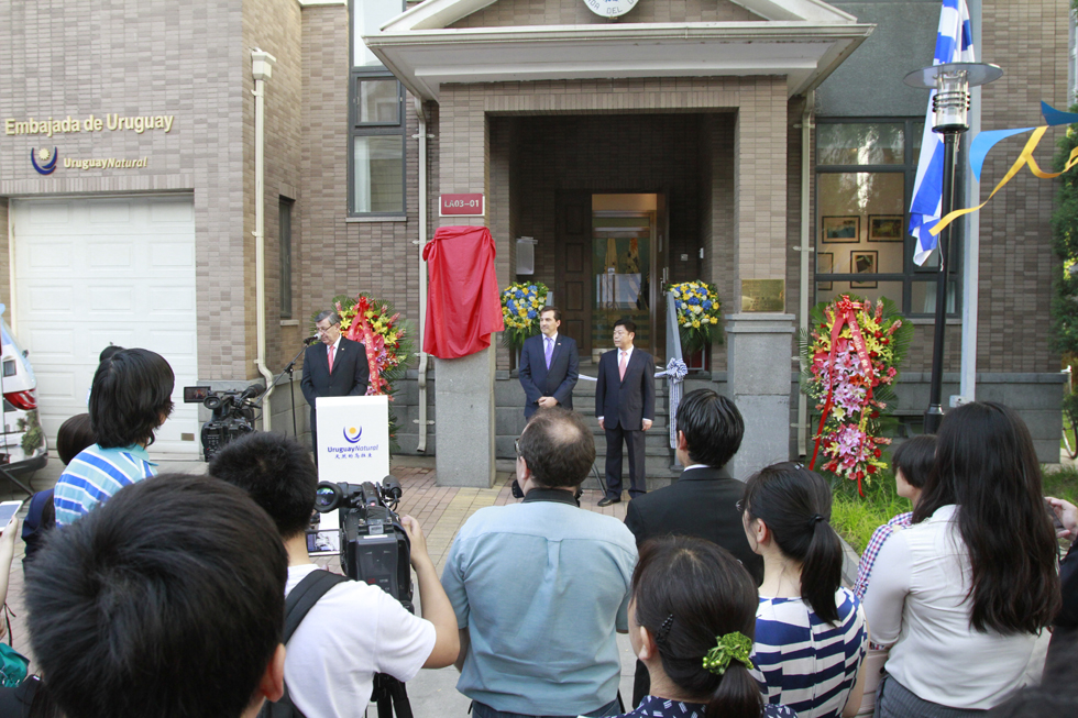 “Uruguay está llevando adelante la política proactiva de mirar al mundo tal cual es”, afirma canciller Nin Novoa