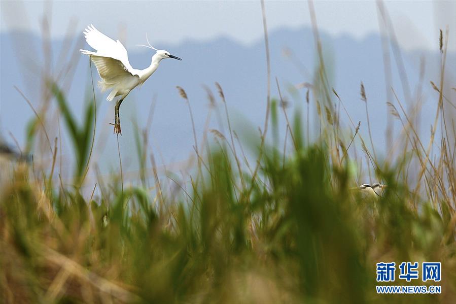 Imágenes de los parques ecológicos chinos