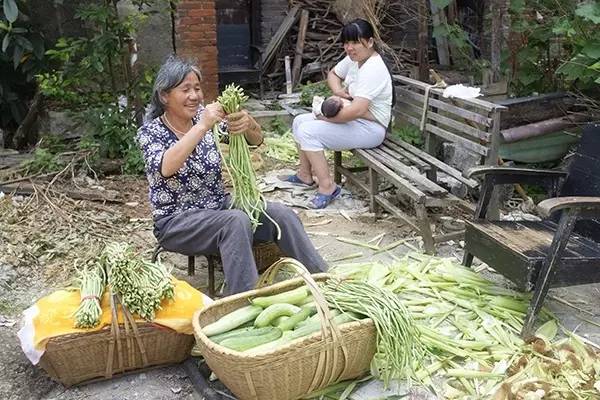 China: Tren gratuito para campesinos