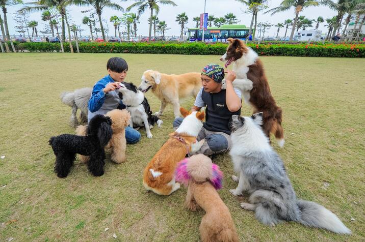 Xue y su colega juegan con los perros en Haikou, provincia de Hainan, 14 de febrero del 2017. [Foto: VCG]