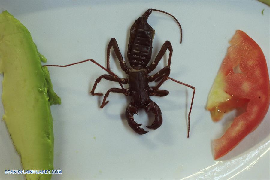  Imagen del 31 de marzo de 2017, de un insecto servido como parte de un platillo en un restaurante en el Mercado de San Juan en la Ciudad de México, capital de México. De acuerdo con información de la prensa local, en el Mercado de San Juan, ubicado en el centro de la Ciudad de México, se sirven platillos preparados con tarántulas, escorpiones y más insectos. Los insectos, ricos en proteínas, formaban una parte importante de la dieta de los pobladores prehispánicos de México. (Xinhua/Str)