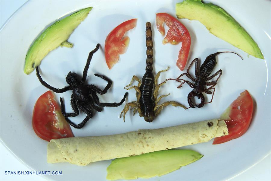 Imagen del 31 de marzo de 2017, de insectos servidos como parte de un platillo en un restaurante en el Mercado de San Juan en la Ciudad de México, capital de México. De acuerdo con información de la prensa local, en el Mercado de San Juan, ubicado en el centro de la Ciudad de México, se sirven platillos preparados con tarántulas, escorpiones y más insectos. Los insectos, ricos en proteínas, formaban una parte importante de la dieta de los pobladores prehispánicos de México. (Xinhua/Str)