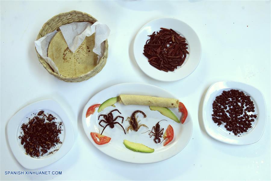 Imagen del 31 de marzo de 2017, de escorpiones, tarántulas y otros insectos formando parte de un platillo en un restaurante en el Mercado de San Juan en la Ciudad de México, capital de México. De acuerdo con información de la prensa local, en el Mercado de San Juan, ubicado en el centro de la Ciudad de México, se sirven platillos preparados con tarántulas, escorpiones y más insectos. Los insectos, ricos en proteínas, formaban una parte importante de la dieta de los pobladores prehispánicos de México. (Xinhua/Str)