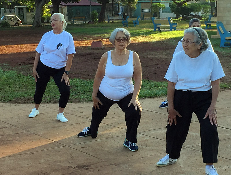 El Taijiquan armoniza en un parque de La Habana