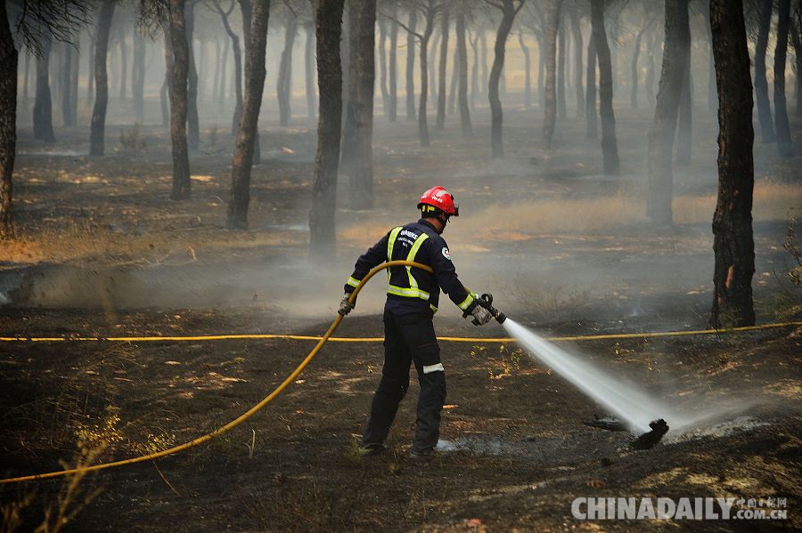 Más de 2.000 evacuados por incendio forestal en sur de Espa?a