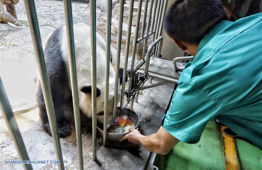 Con "helados" y duchas Zoológico de Beijing ayuda a sus animales a soportar inclemente verano