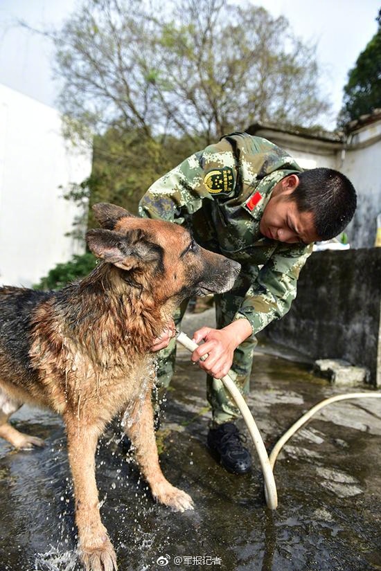 Fuerzas del orden organizan funeral para un perro policía en Guangdong