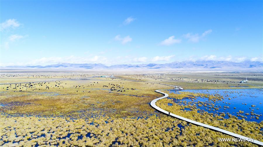 Paisaje de oto?o de Ruoergai National Wetland Park