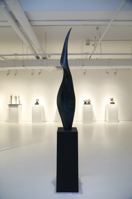 Exposición de arte contemporáneo colombiano en Beijing cierra el a?o con broche de oro