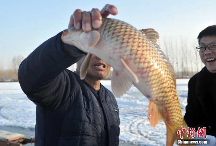 Invierno de la Nueva área de Xiongan : el Lago Baiyangdian se ha convierto en un patio natural de recreo