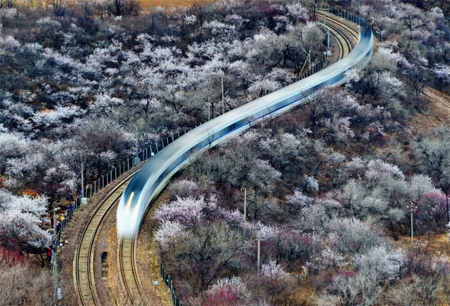 Viaje al mar de flores, tomada por Li Zhiming. [Foto proporcionada por photoint.net]