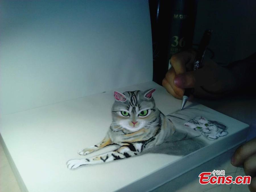 Estudiante chino crea magníficos dibujos 3D para su novia