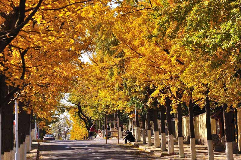 Una vista de la ciudad de Qingdao, provincia de Shandong. 