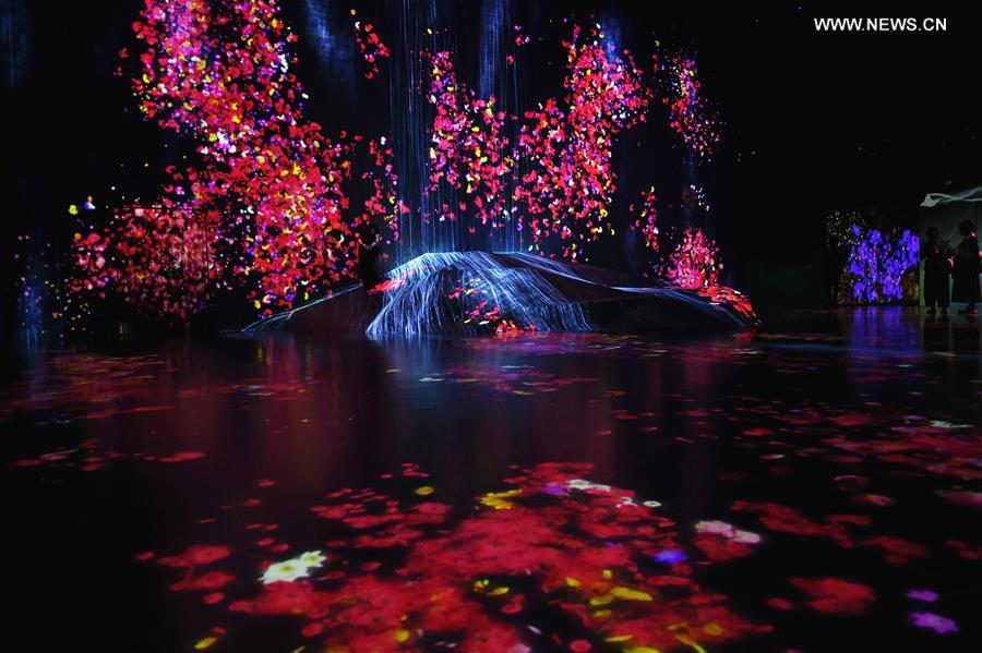 El Museo de Arte Digital Mori Building se inaugura en Tokio